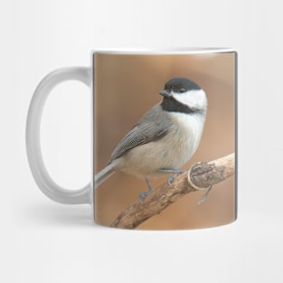 Carolina Chickadee Mug